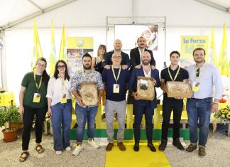 Cellulosa dagli scarti del vino, Pecorino alla Mela Rosa e fantasia: ecco i vincitori marchigiani degli Oscar Green 2025