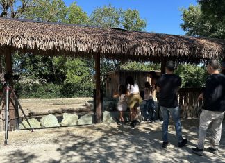 Parco Zoo Falconara: oltre duecento candidature per i due nuovi video, venti protagonisti selezionati