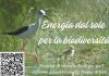Fano, Crowdfunding dell’Argonauta per il progetto “Energia dal sole per la biodiversità”