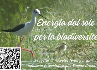 Fano, Crowdfunding dell’Argonauta per il progetto “Energia dal sole per la biodiversità”