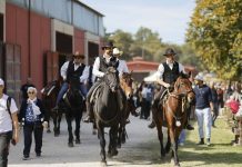 Cantiano Fiera Cavalli dà appuntamento a domenica 18 ottobre: è l’atto secondo