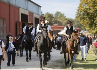 Cantiano Fiera Cavalli dà appuntamento a domenica 18 ottobre: è l’atto secondo