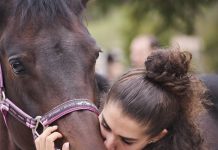 Tutto pronto, domani la prima domenica di Cantiano Fiera Cavalli