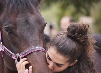 Tutto pronto, domani la prima domenica di Cantiano Fiera Cavalli