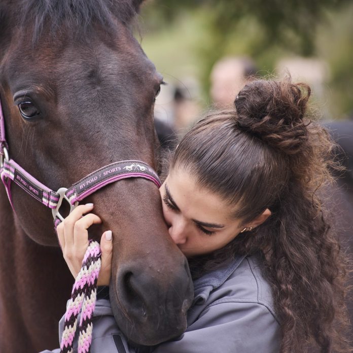 Cavallo del Catria 01