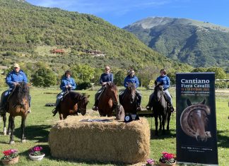 Cantiano Fiera Cavalli, ecco il programma