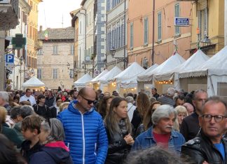Chiusura in bellezza per la 28esima Fiera Nazionale del Tartufo Bianco Pregiato di Pergola: un trionfo di pubblico, gusto e cultura