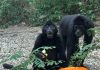 Ottobre al Parco Zoo Falconara tra natura e brividi di Halloween