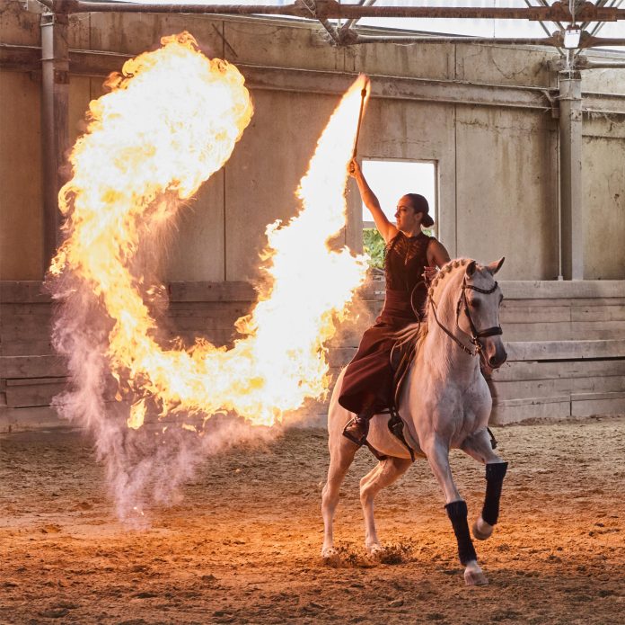 Spettacoli equestri 02