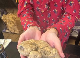 Sant’Angelo in Vado habitat del tartufo: la scienza studia l’ambiente