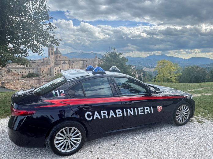 cc urbino