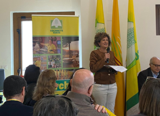 Silver Agri Age: l’agricoltura come nuovo welfare per gli anziani fragili