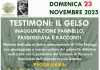 Una mattinata dedicata al gelso bianco monumentale di Villa Fastiggi: una bella storia di attenzione, cura e responsabilità