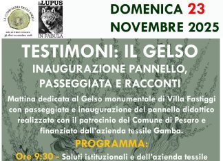 Una mattinata dedicata al gelso bianco monumentale di Villa Fastiggi: una bella storia di attenzione, cura e responsabilità