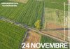 PAC e sostenibilità: oggi (24 novembre) a Pergola focus sulle strategie finanziarie per le aziende agricole