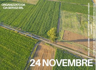 PAC e sostenibilità: oggi (24 novembre) a Pergola focus sulle strategie finanziarie per le aziende agricole