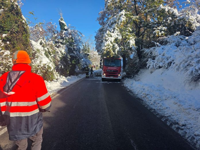 lavori conca strada