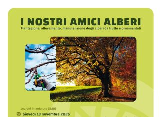 “I nostri amici alberi”, corso gratuito a Fano con l’associazione La Lupus in Fabula