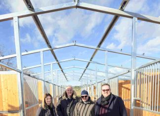 San Lorenzo in Campo: al via i lavori per il nuovo Centro Ippico Comunale di Miralbello