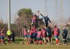 Essepigi Techfem Fano Rugby spugna anche il campo della Dinamis Falconara e resta leader in classifica