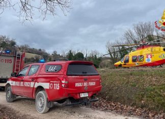 Colli al Metauro: travolto dall’albero che stava tagliando boscaiolo elitrasportato al Torrette di Ancona