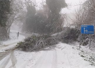 Neve, Provincia in azione sulle strade