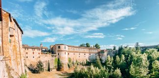 Biblioteca di Urbania: cuore culturale della città