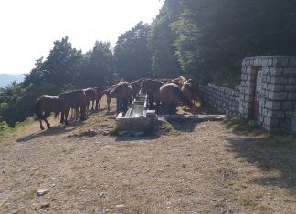Il Monte Catria come bene comune: natura, comunità e turismo sostenibile sul versante cantianese