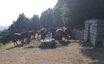 Il Monte Catria come bene comune: natura, comunità e turismo sostenibile sul versante cantianese