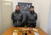 GdF Pesaro e Urbino: sequestrati 500 grammi di hashish. A Canavaccio arrestato 21enne residente a Fermignano
