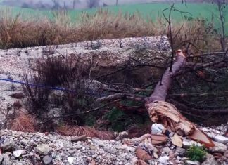 Provinciale Mondaviese a Barchi metà strada ingoiata dalla frana attiva da 20 anni