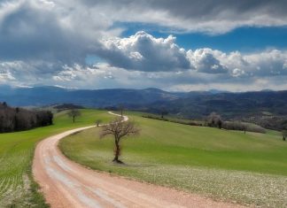 Sicurezza stradale e tutela del territorio: l’appello del sindaco Briganti e dell’assessore Bargnesi ai cittadini di Colli al Metauro