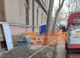 Fano, rifacimento via Bixio: i parcheggi sono più importanti degli alberi!