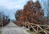 Ponte ciclopedonale in legno tra Vallefoglia e Tavullia, chiusura al transito per lavori di messa in sicurezza