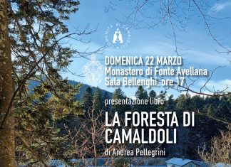 Domenica 22 a Fonte Avellana presentazione dell’ultimo libro di Andrea Pellegrini “La Foresta di Camaldoli”