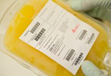 Scandalo plasma, l’opposizione chiede la commissione d’inchiesta. Mancinelli: “Crisi di sistema, non episodio accidentale”