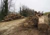 Fano, La Lupus in Fabula: “Scempio ambientale sul torrente Arzilla”