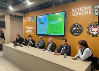 Il Vino Biologico delle Marche protagonista al Vinitaly 2026