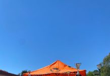 SCD Alma Juventus Fano, risultati e programma della settimana