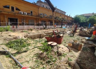 Fano… il tiglicidio, un delitto perfetto