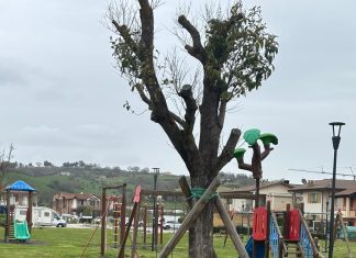 Colli al Metauro: concluso il piano di manutenzione del verde. Al via il primo sfalcio dell’erba nei parchi e nei centri abitati