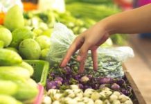 Coldiretti Pesaro Urbino, cibo e salute: se ne parla a Villa Borromeo