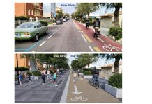 Fano, il sacrificio del tamericio