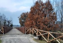 Ponte ciclopedonale tra Vallefoglia e Tavullia, la Provincia riapre al transito
