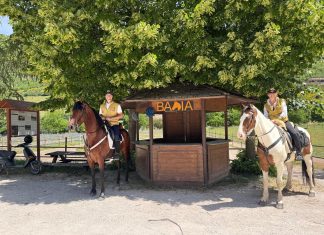 Cantiano, due giorni a cavallo nel cuore del Monte Catria alla scoperta del territorio e del Cavallo del Catria