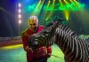 Il Circo Orlando Orfei incanta Fermignano: uno spettacolo che conquista grandi e piccoli