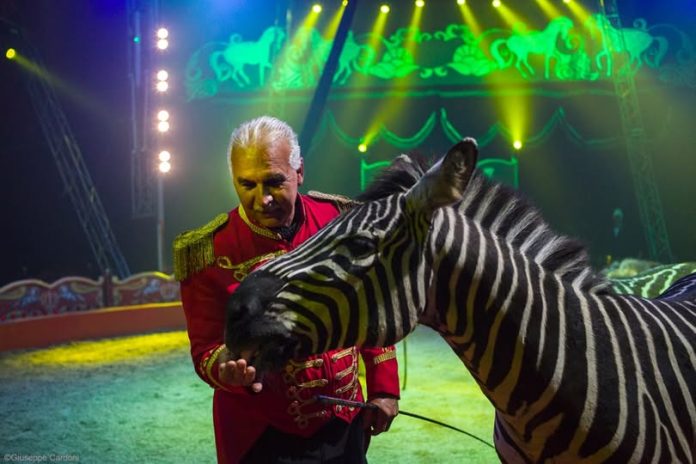 Circo Orlando Orfei Fermignano
