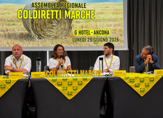 Agricoltura, Coldiretti Marche: aziende più strutturate ma serve accelerare sul ricambio generazionale