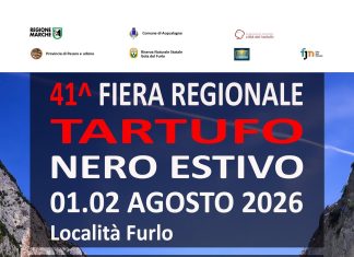 Ad Acqualagna la 41ª Fiera Regionale del Tartufo Nero Estivo tra gusto, natura e spettacolo