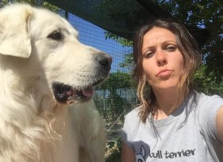 Colli al Metauro, otto domande alla cinofila Clara Gregori: “I cani parte della mia vita”